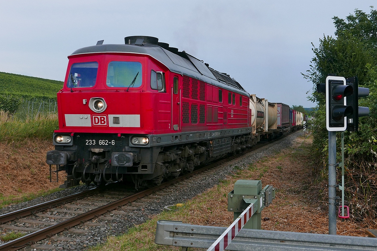 Auf Grund der baubedingten Streckensperrung zwischen Immendingen und Singen befindet sich die aus Ulm kommende und nach Singen fahrende 233 662-6 mit einem umgeleiteten KLV-Zug kurz vor der ehemaligen Haltestelle Birnau-Maurach (26.07.2019).