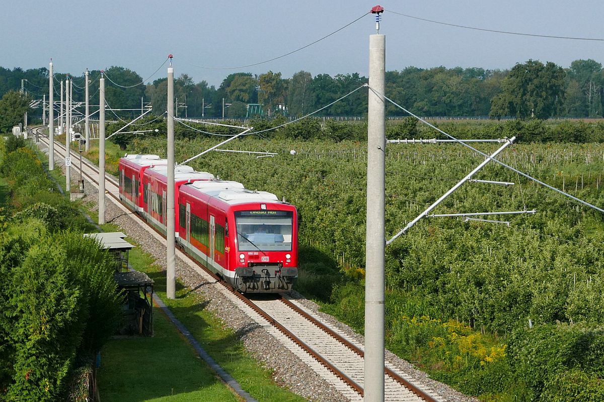 Auf Grund der Elektrifizierung der Südbahn und der damit verbundenen Streckensperrung zwischen Friedrichshafen und Ravensburg verkehren keine lokbespannten Doppelstockwagen als RE zwischen Friedrichshafen und Lindau sondern Triebwagen der Baureihe 650. 650 202, 650 018 und ein unerkannt gebliebener 650er als RE 3225 am 16.09.2020 bei Gohren.