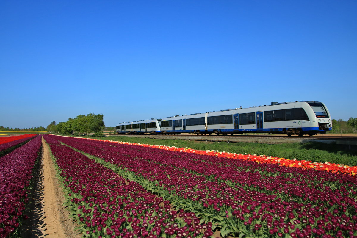 Auf Grund einer Störung zwischen Düsseldorf und Neuss konnte ich am 20.4.20 eine weitere Doppeltraktion LINTs der Rurtalbahn auf der RB39 erwischen. 