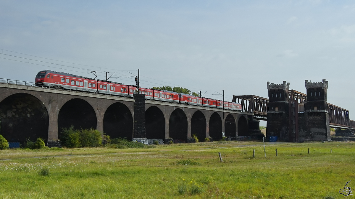 Auf der Hochfelder Eisenbahnbrücke ist gerade ein DB-Triebzugsduo 1428 003 und 1428 504 zu sehen. (August 2022)