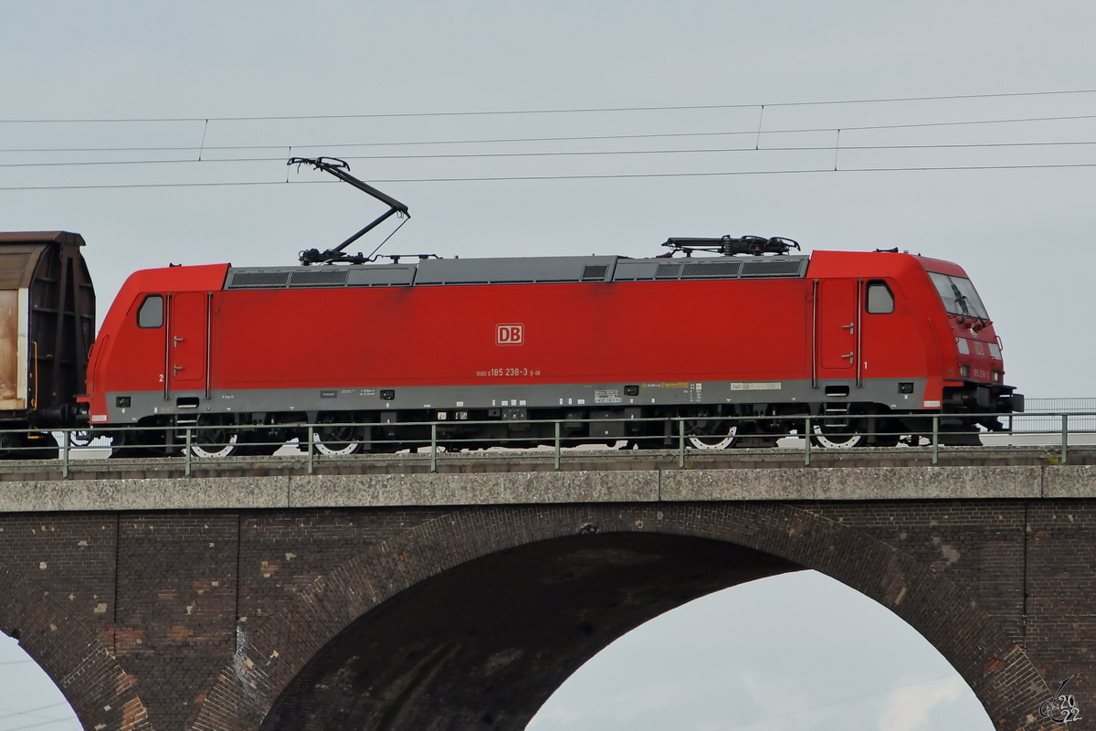 Auf der Hochfelder Eisenbahnbrücke ist gerade die Elektrolokomotive 185 238-3 unterwegs. (August 2022)