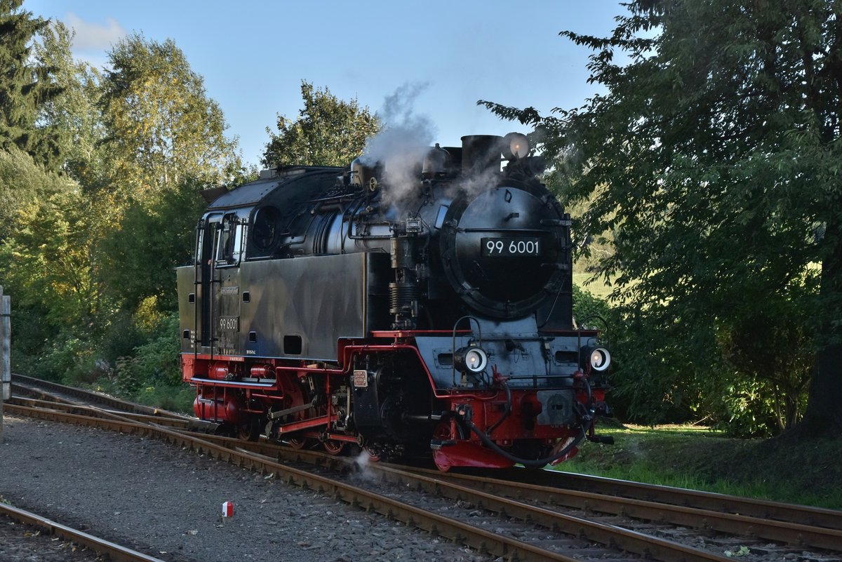 Auf der Kreuzung in Stiege isz hier die 99 6001 am Abend des 16.9.2017 beim umrangieren zu sehen.