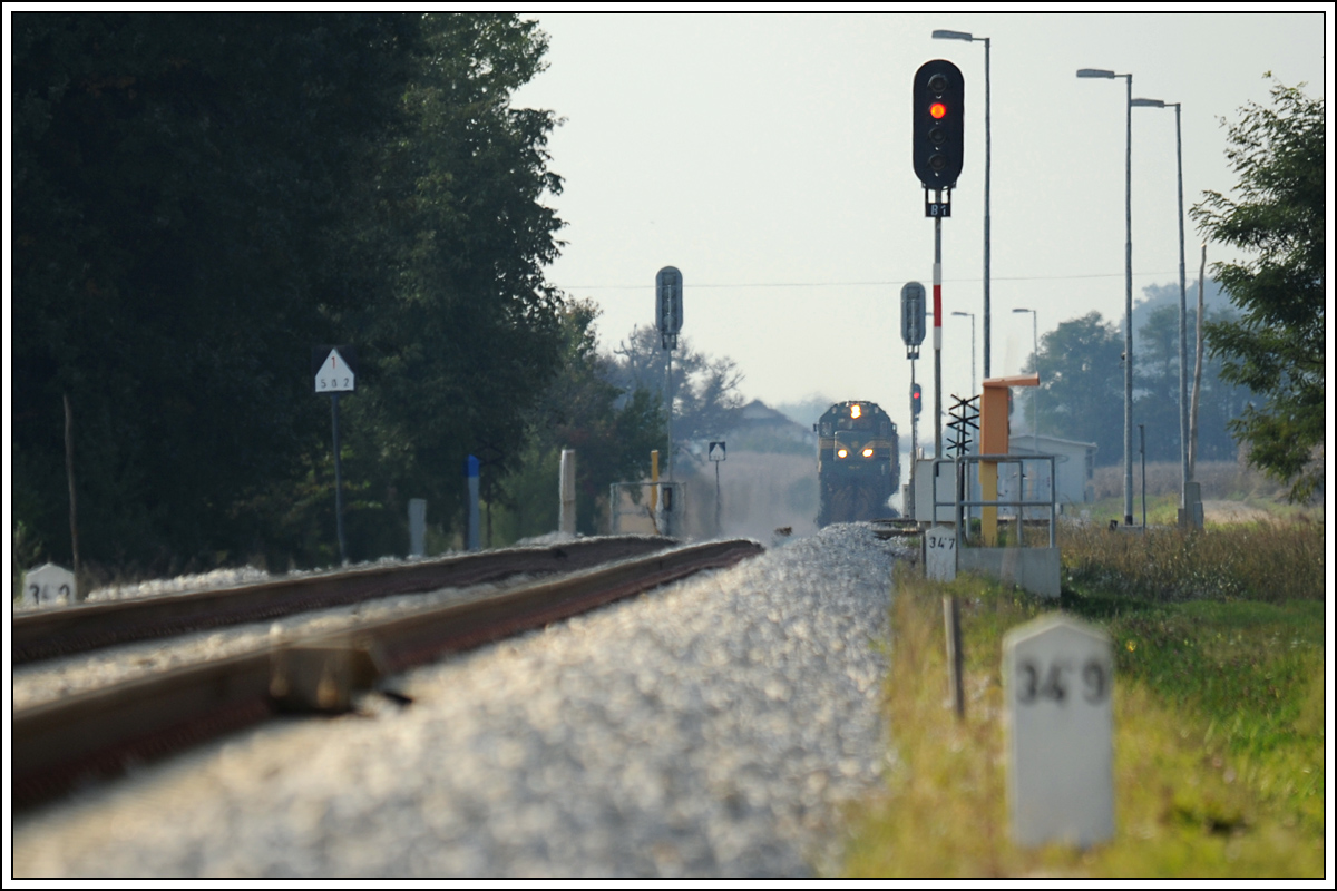 Auf der langen Geraden zwischen Ptuj und Velika Nedelja war schon lange vor der Entstehung dieser Aufnahme, welche kurz vor der Haltestelle Velika Nedelja am 8.10.2013 entstand, 664-105 mit ihrem Gterzug Richtung Osten in der Ferne zu sehen. 