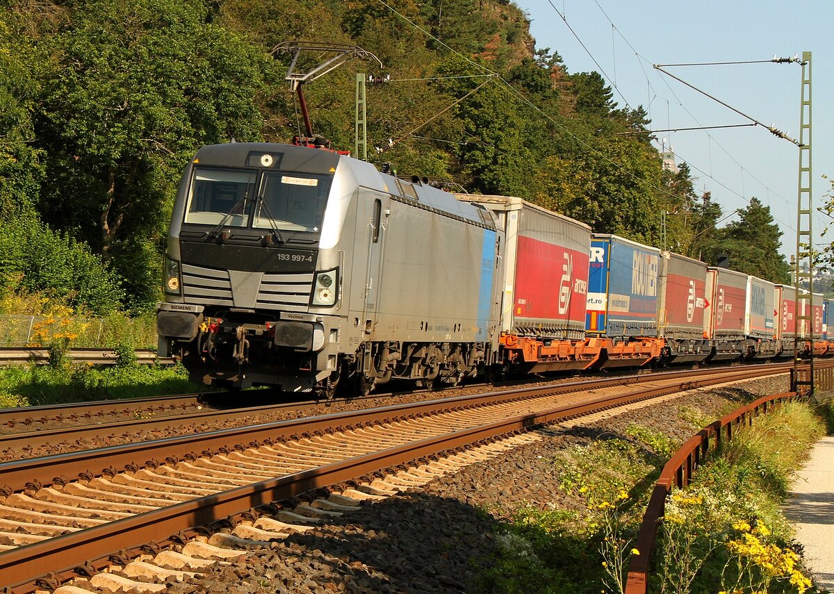 Auf der linken Rheinseite am 25.02.2021 zieht 193 997 einen KLV nach Süden.