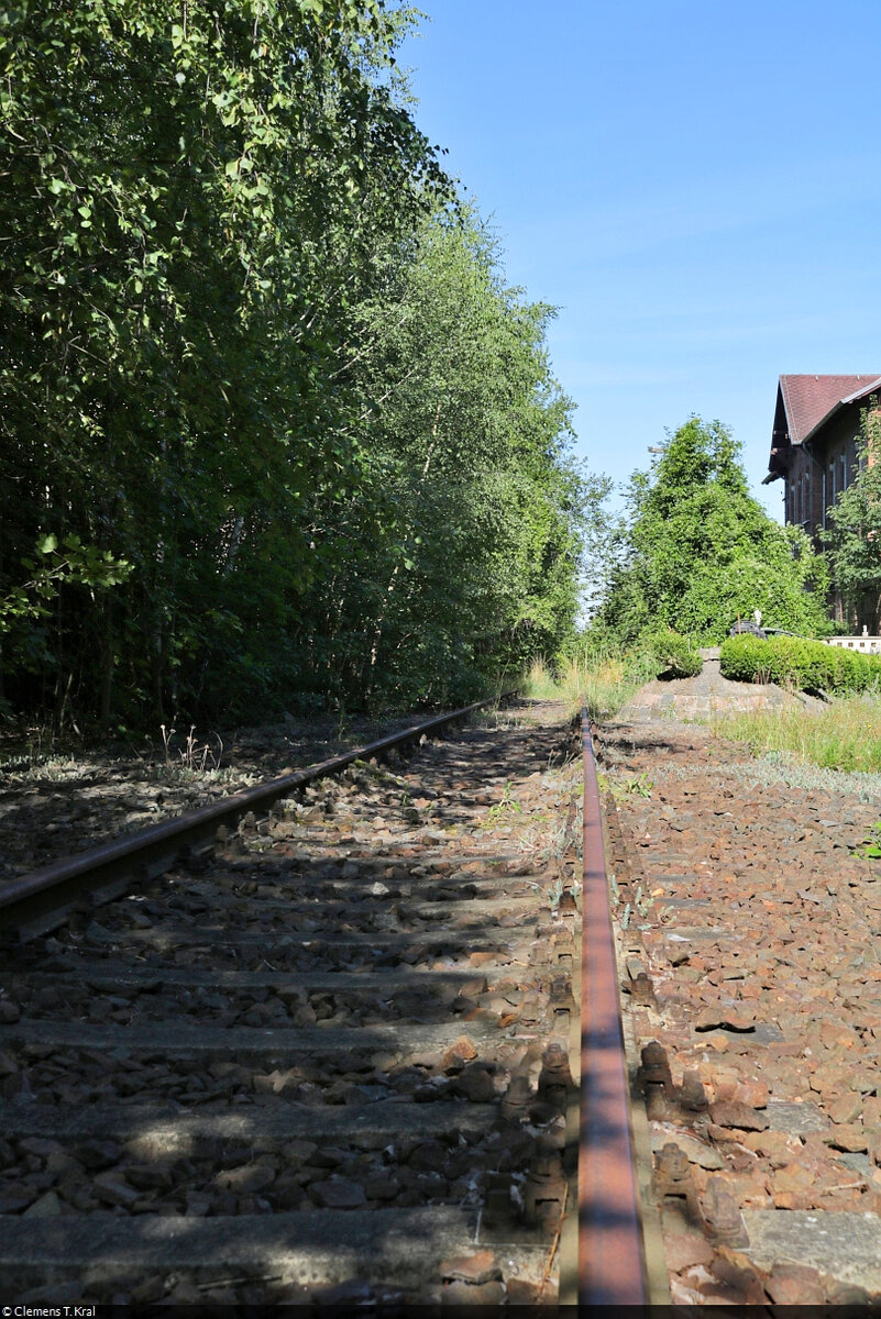 Auf den Spuren der Halle-Hettstedter Eisenbahn (HHE)
Das stillgelegte Gleis Richtung Hettstedt im Bahnhof Gerbstedt. Die Anlagen gelten mittlerweile als Freilichtmuseum. Auch etliche Zug-Modelle haben auf dem Gelände ihren Platz gefunden (Fotos folgen).

🕓 7.8.2022 | 10:04 Uhr