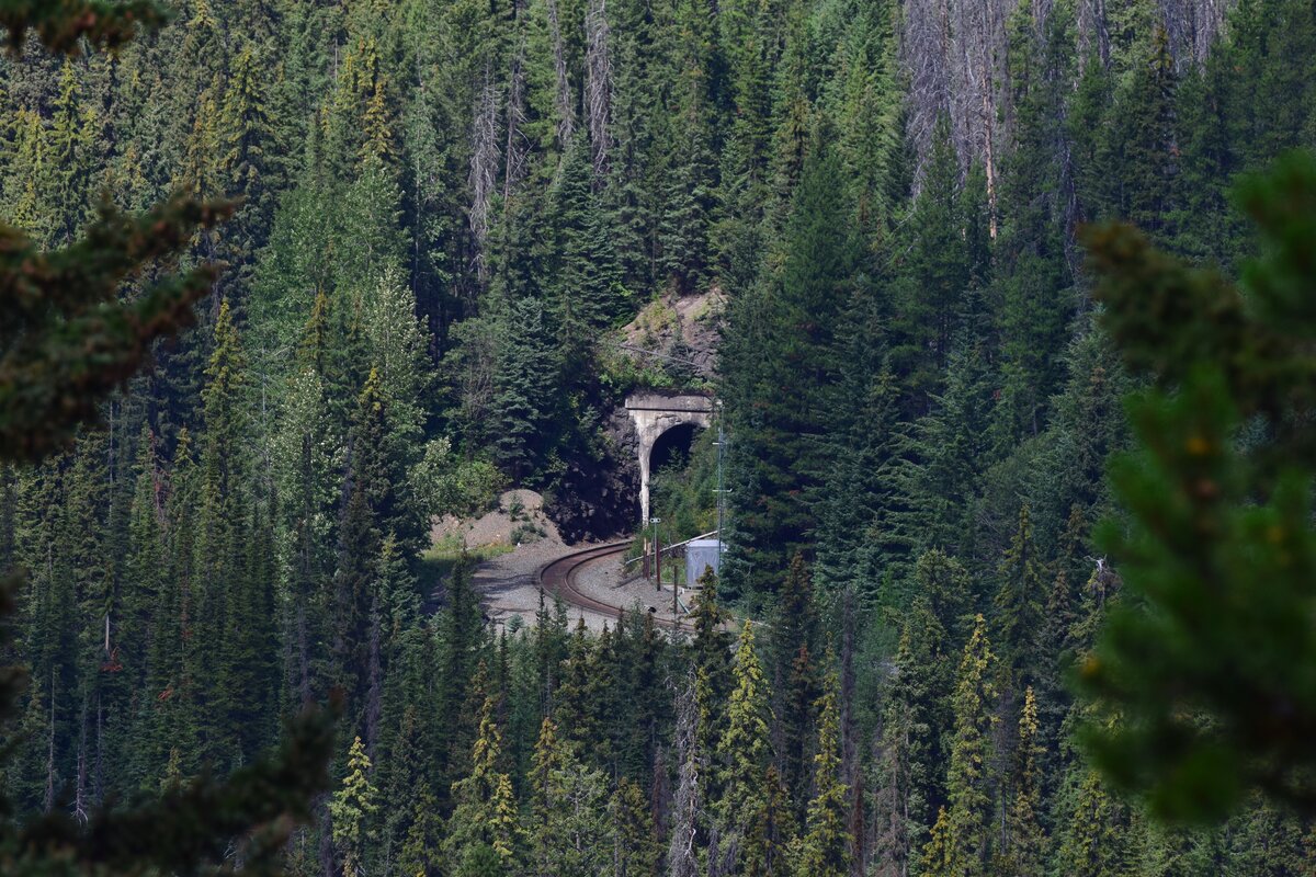 Auf den Weg von Lake Louise nach Golden kamen wir auch an den Spiral Tunnel vorbei. Diese befinden sich zwischen dem Kicking Horse Pass und Fields. Der ehemalige Streckenverlauf wies eine Steigung von 45 Promille auf. Um diese Steigung zu minimieren baute man 1908 2 Tunnel welche sich fast wie eine Acht schlängeln und somit die Steigung auf 22 Promille senkte. Hier sieht man den Lower Spiraltunnel.

Fields 24.08.2022