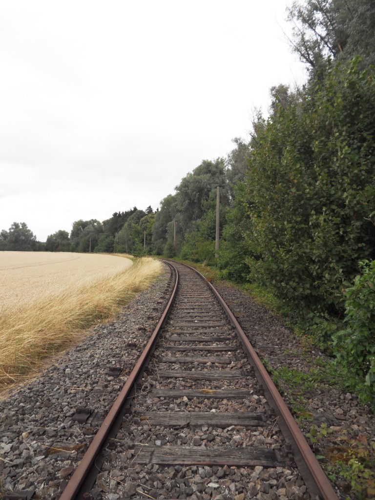 Aufgelassenes Anschlussgleis zu einem Gewerbegebiet bei Ingolstadt. Rechts stehen noch die Betonmasten der Oberleitung, alles andere wurde zurückgebaut. Das Foto entstand am 30.Juli 2015.
