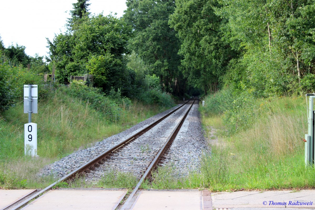 Aufgenommen am 25.8.2015: Hafenbahn am Bahnübergang Heiweg in Lübeck-Brandenbaum in Richtung Lübecker Hafen.Die Strecke wurde offenbar erneuert, denn ich habe sie im schlechteren Zustand in Erinnerung. 
