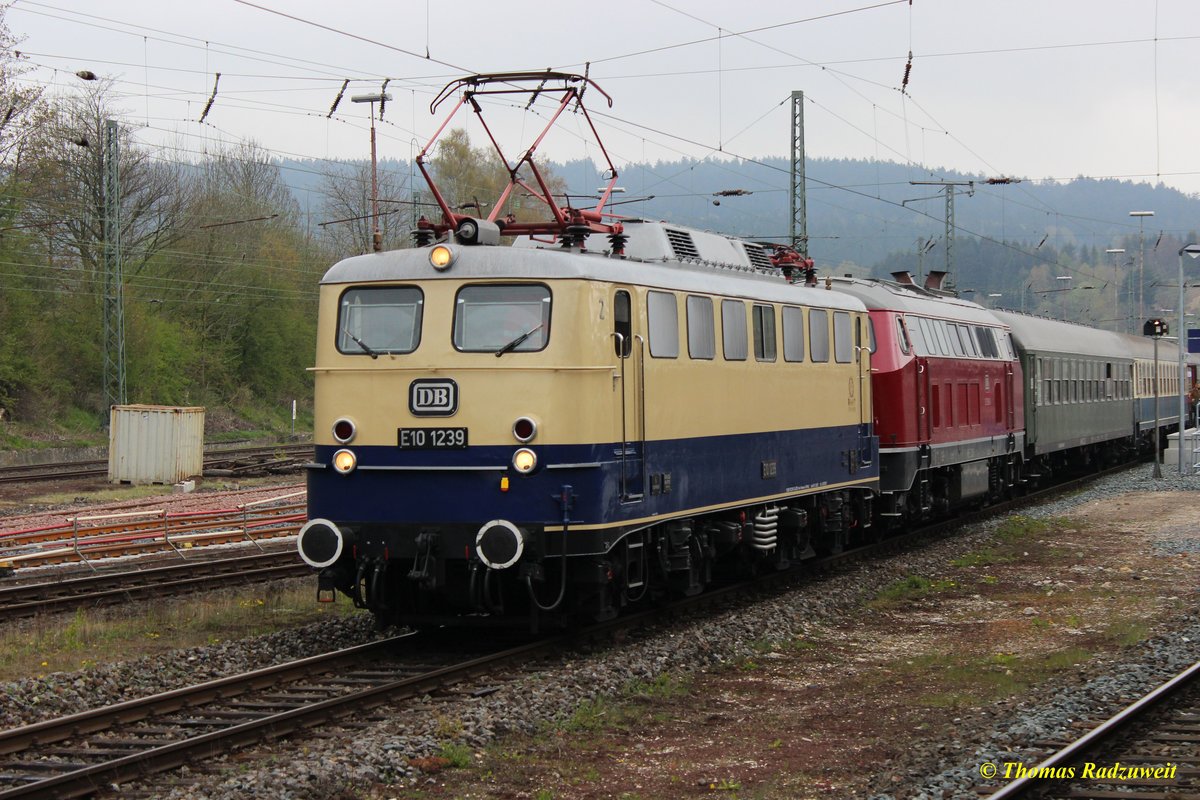 Aufgenommen am 30.April 2016 in Altenbeken: Die legendäre E 10 1239 steht abfahrbereit für den Sonderzug  In den Frühling  nach Hameln. Den Zug hatte sie schon in Köln Hbf übernommen.