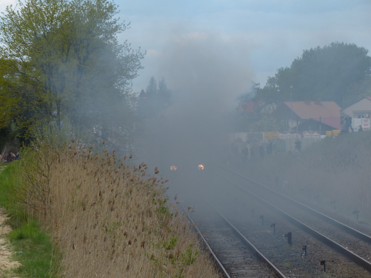 Augen im Nebel - bei der Rückwärtsfahrt tarnt sich Okz32 2. Dampflokparade Wolsztyn, 2.5.2015