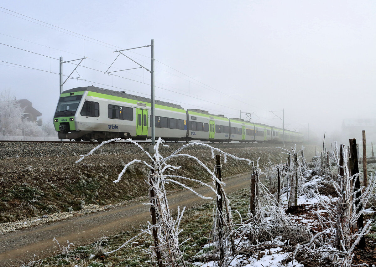 Aus dem Nebel heraus kommt eine Berner S-Bahn (S44). Der vordere Zug (BLS NINA 525 027) fährt über Bern nach Burgdorf, Wiler und Solothurn, der hintere Zug (BLS NINA 525 025) über Bern und Burgdorf weiter nach Ramsei und Sumiswald im Emmental. Wabern, 16.Januar 2022  