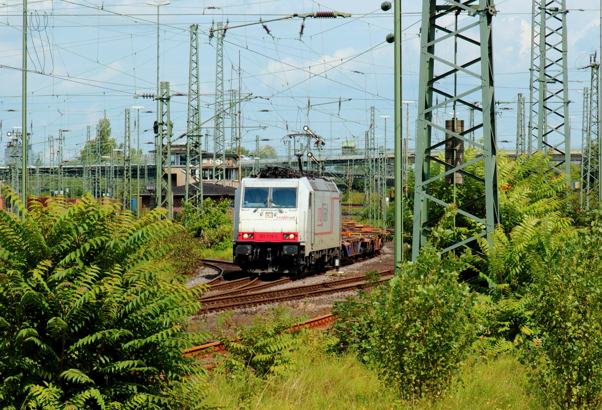 Aus diesem Blickwinkel mutet die Vegetation im Neusser Güterbahnhof fast schon tropisch an, hier mit 185 579-0 der Crossrail am 16.08.2014