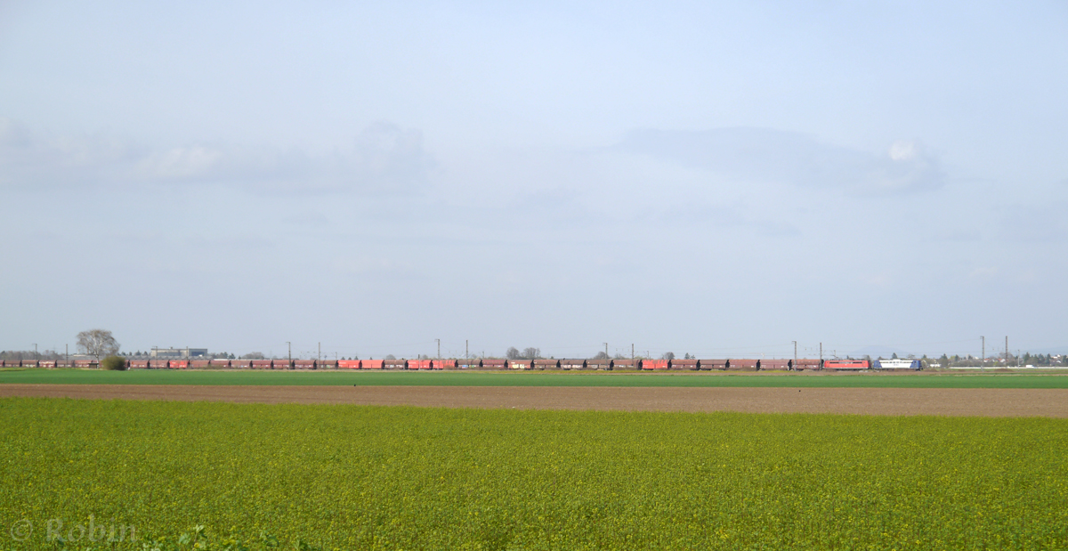 Aus der Ferne gesehen: Ein langer Güterzug gezogen von einer Doppeltraktion der Baureihe 151 der RBH, eine Tochterfirma der DB.
(Mannheim-Friedrichsfeld; 19.03.2014)