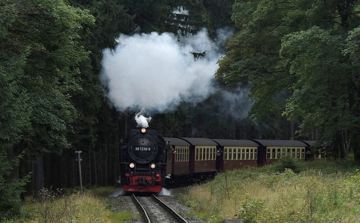 Aus Nordhausen kommend ist die 99 7239-9 mit ihrem Zug kurz vor Drei Annen Hohne vor meine Linse gekommen. Samstag den 16.9.2017