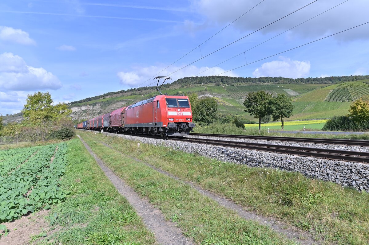 Aus Richtung Karlstadt kommt die 185 043-7 bei Thüngersheim gen Würzburg vors Objektiv. 28.9.2021
