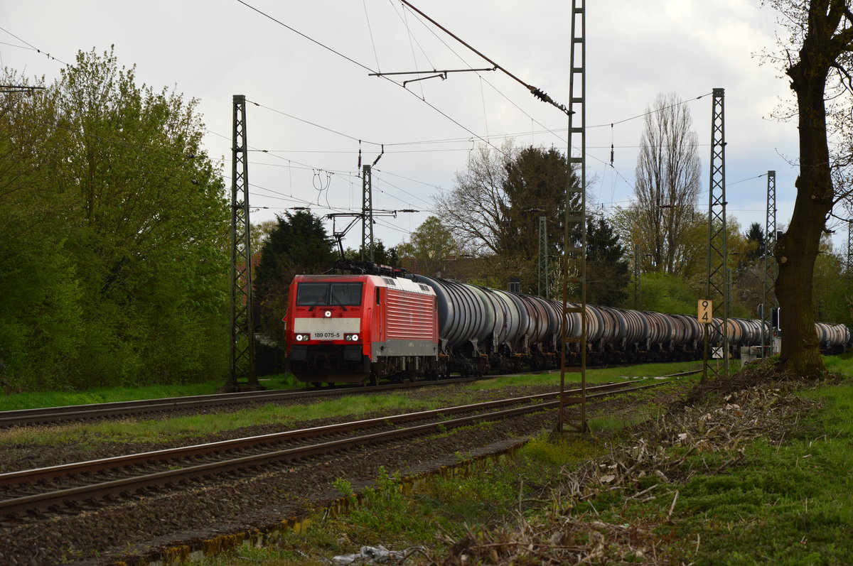 Aus Venlo kommend ist hier die 189 075-5 mit einem Kesselwagenzug gen Viersen über die Kbs 485 gefahren. Sonntag den 17.4.2016