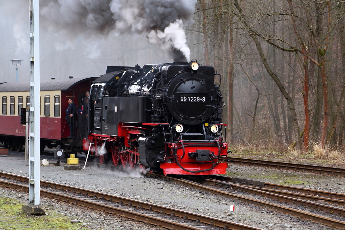 Ausfahrt von 99 7239 mit P8965 (Gernrode-Hasselfelde) am 07.02.2016 aus dem Bahnhof Alexisbad. (Bild 1)