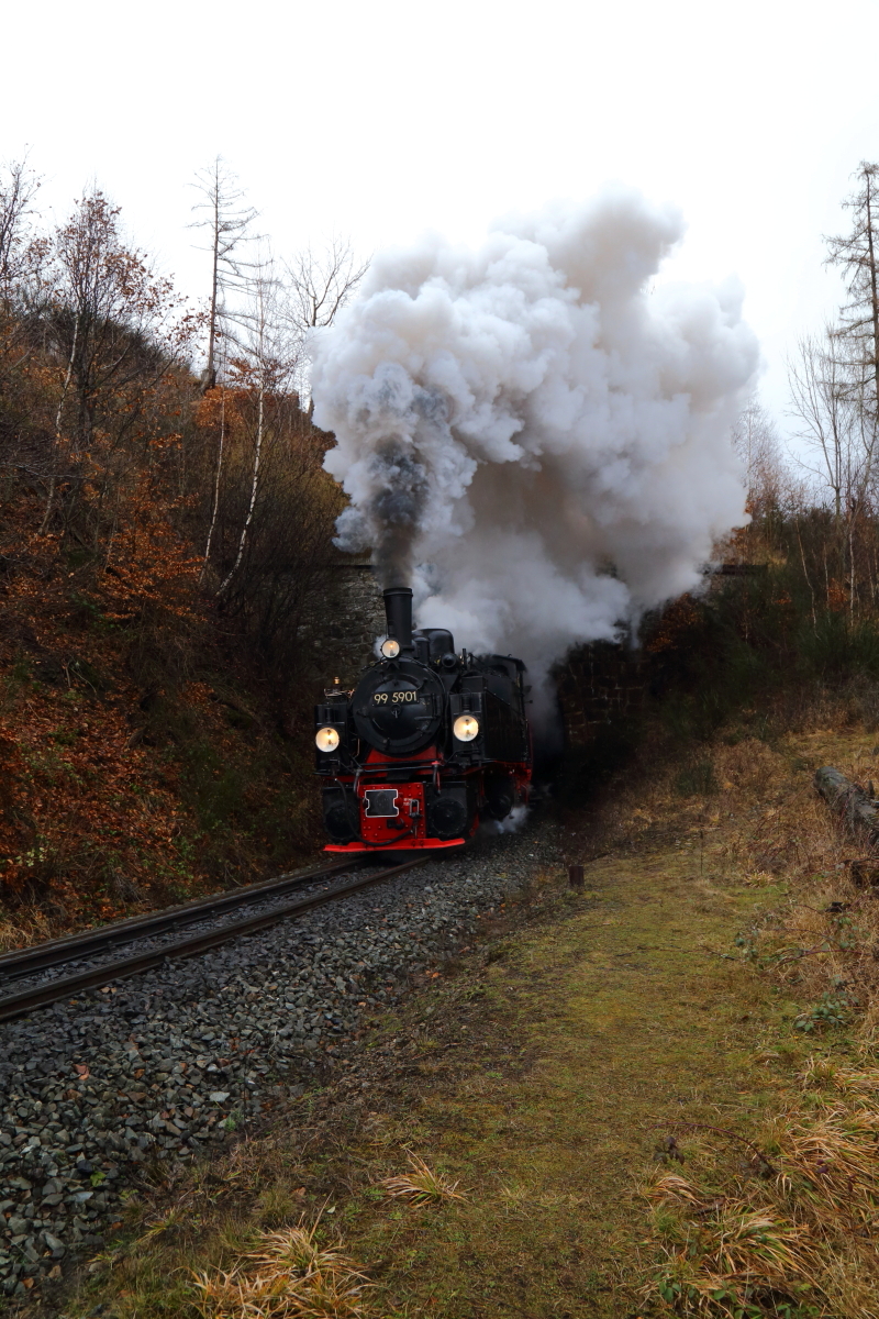 Ausfahrt (Scheinanfahrt) von 99 5901 mit IG HSB-Sonderzug am 05.02.2016 aus dem Thumkuhlental-Tunnel. (Bild 5)