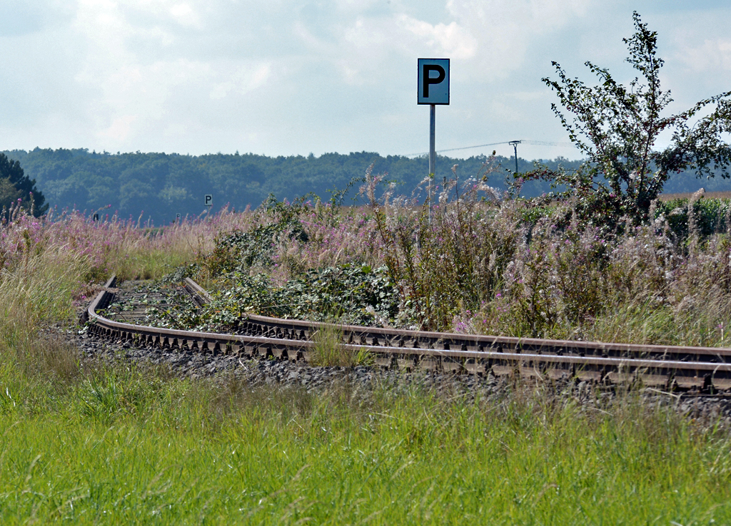Ausgedienstes NATO-Gleis zu einem ehemaligen Treibstofflager, von der Natur  zurückerobert , zwischen Rheinbach und Odendorf - 11.09.2015