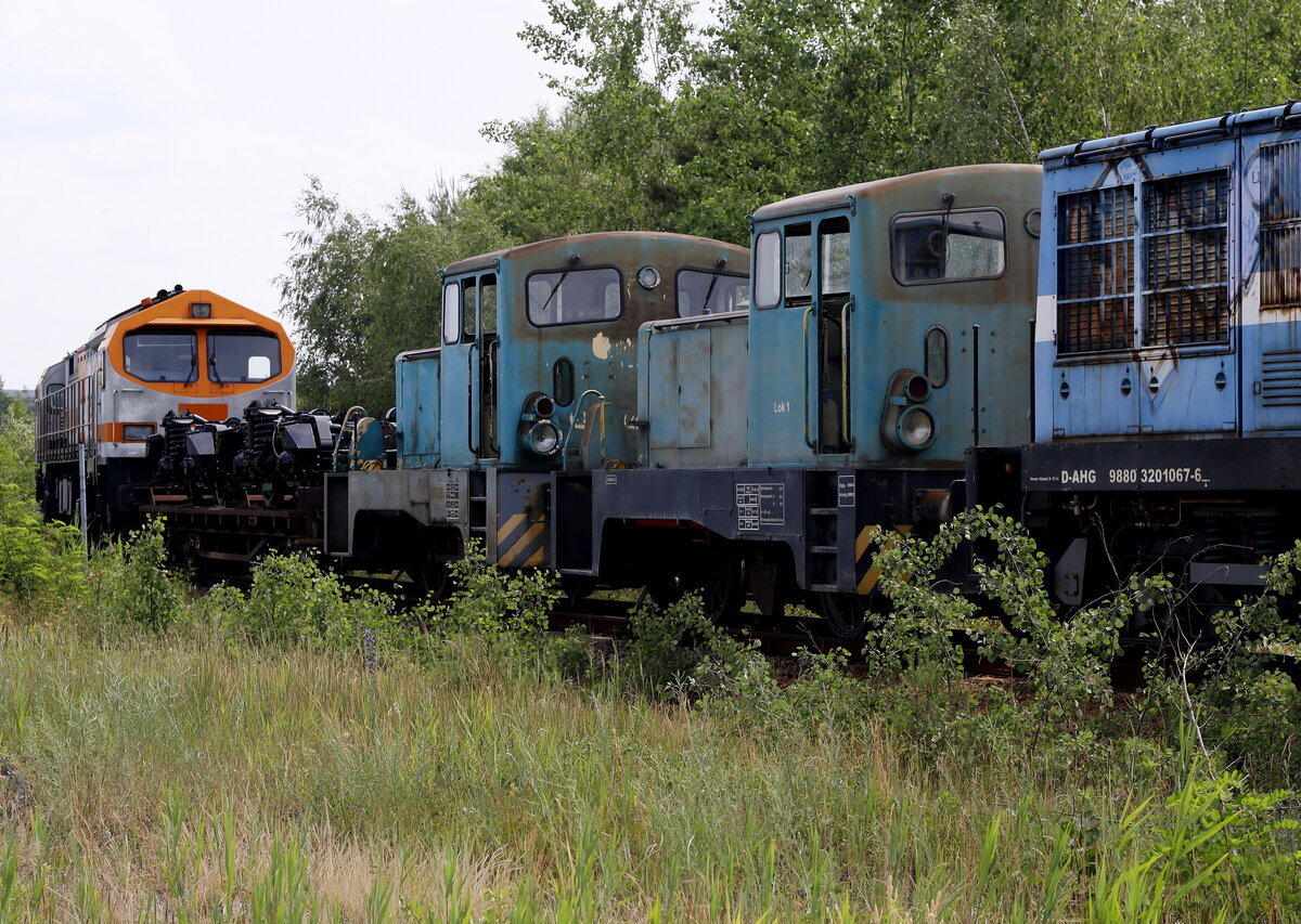 Ausserhalb des Werksgeländes, auf dem Anschlußgleis aufgenommen.
Werklok 3 und 4 der WISAG im Einsatz, die rechte Lok stand mit laufendem Motor,die Rangierabteilung verschiebt Wagen und Lokomotiven, um einen Tender umzusetzen.
Links hinten | 92 80 / 1 250 | BR 250 | DE-AC33C | Tiger .  Brieske 2023:06:22 11:36:48 Uhr.