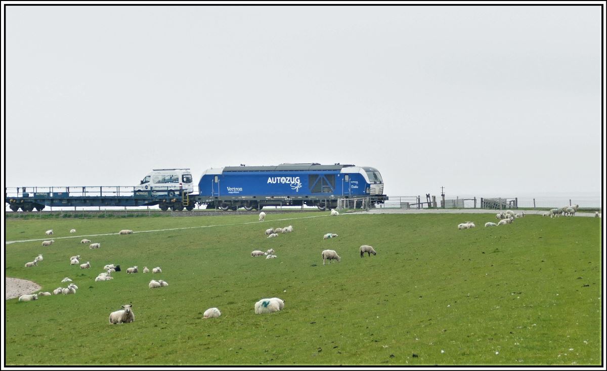 Autozug Westerland/Sylt nach Niebüll mit Vectron  Debbie  verlässt den Hindenburgdamm. (21.05.2019)