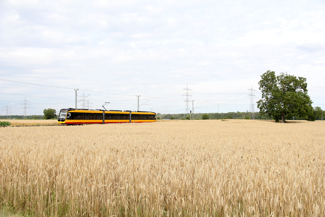 AVG 389 // Linkenheim-Hochstetten (KIT-Anschlussbahn) // 19. Juli 2019
