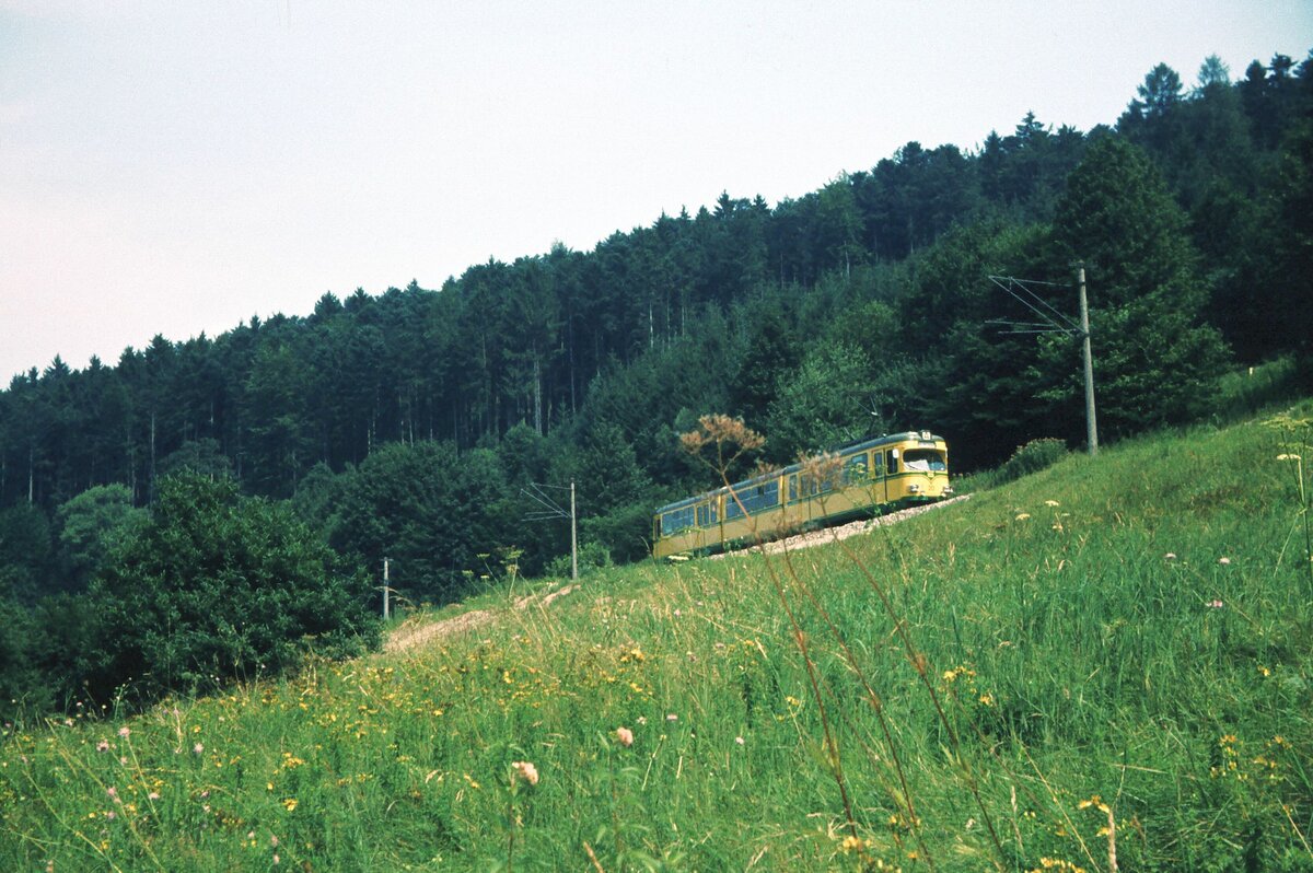 AVG im Albtal zw. Herrenalb u. Ettlingen_24-03-1982