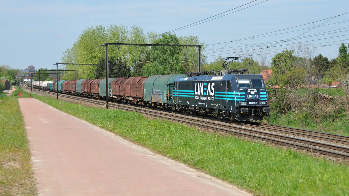 B-Logistics wird Lineas. Alle Loks werden das neue Logo tragen, aber nur zwei der von Railpool angemieteten 186er werden die vollständige Lineas-Beklebung erhalten. Die Erste war die 186 293-7, die Anfang der Woche das Atelier in Antwerpen verlassen hat und seitdem erst einmal in Belgien unterwegs war (Antwerpen - Châtelet und zurück). Am heutigen 06/05/2017 startete sie zu ihrer ersten Fahrt nach Deutschland. Ich hatte das Glück, sie mit dem gemischten Güterzug in Hoeselt anzutreffen und abzulichten.
