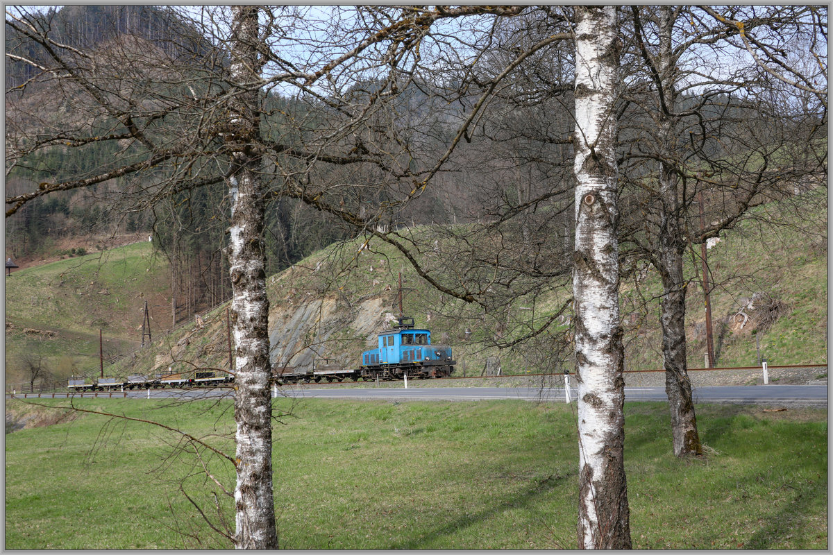Bäume sind der  Feind  der lieblichen Schmalspurbahn die einiges an Tonnagen der Straße abnimmt. 
Hier auf Höhe der Schafferwerke wurde wie an anderen Stellen Großflächig gerodet. 
3.04.2019