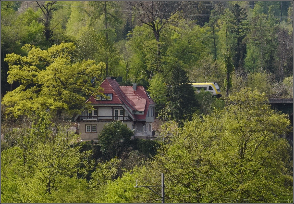 Bahn am Hochrhein. Über die Grenze geschaut bietet sich im Frühjahr ein fröhlich grünes Bild mit 612. Hauenstein, April 2019.
