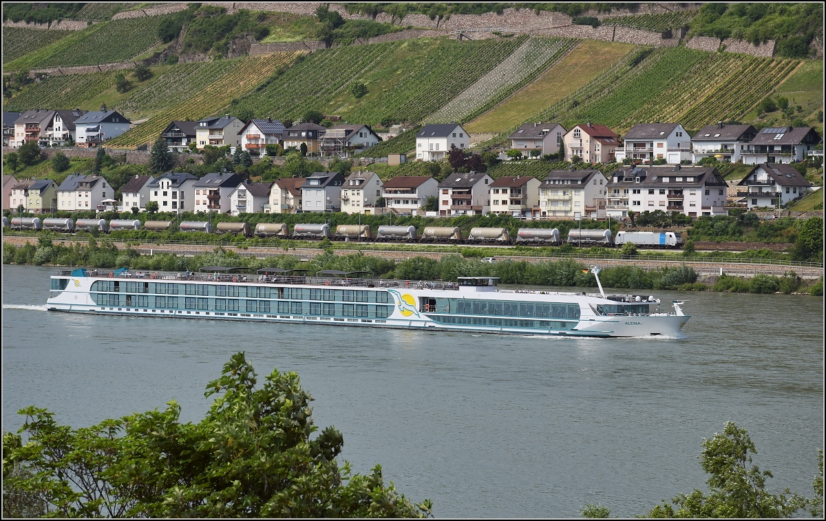 Bahn am Mittelrhein in Reihen. Reihen von Häusern in Lorchhausen, Reihen von Kabinen auf der Alina und eine Reihe Silowagen mit einer Railpool 186, vor Querreihen von Reben. Juni 2019.