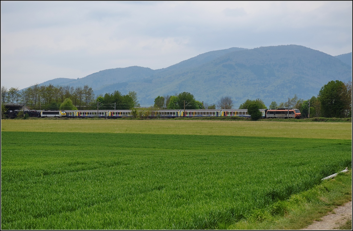 Bahn im Elsass. 

Direkt hinter der orangefarbenen Lok ist der Menschenfresserberg, mit richtigem Namen Hartmannsweilerkopf, zu sehen. Dort wurde im ersten Weltkrieg die wohl sinnloseste Schlacht der Geschichte geschlagen mit 30.000 Totesopfern; die Bergkuppe ist wie man sieht, zur damaligen Zeit einfach zu weit weg von der nchstgelegenen Verkehrsachse, seinerzeit die Reichsbahn. Und erst gestern wurde -nach Jahrzehnten weiterer Streitigkeiten und noch lngerer Besinnung und Freundschaft- von den Medien wenig beachtet ganz bemerkenswert die erste Erinnerungssttte mit gemeinsamer Betrachtung des 1. Weltkrieges eingeweiht.  Doch wir wissen, dass es nicht dieser Berg der Menschenfresser war, sondern der Nationalismus  war wohl der wichtigste Satz, der gestern gesagt wurde. Immerhin hat die Politik die Wichtigkeit des Ereignisses erkannt und die beiden Republiken ihre hchsten Reprsentanten geschickt. http://www.swr.de/swraktuell/bw/suedbaden/hartmannsweilerkopf-im-elsass-steinmeier-und-macron-eroeffnen-gedenkstaette/-/id=1552/did=20599140/nid=1552/igc4rj/index.html

Bei so viel Geschichte kann die Bahn hinter den kleinen Erdwllen ein wenig in den Hintergrund treten. Bei Raedersheim begegnen sich Sybic 26151 mit ihrem TER Richtung Mlhausen und die belgische Astride 1344 mit einem Autozug gen Norden. Das Bild entstand bereits im April 2017.