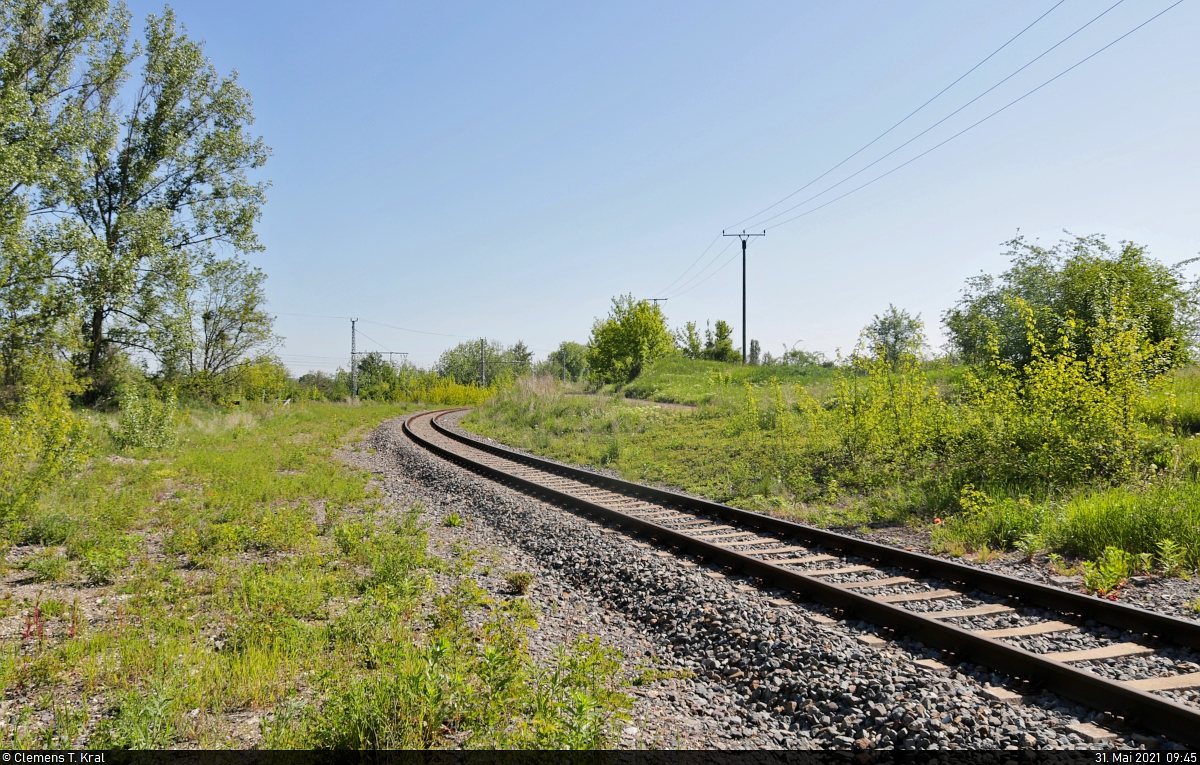 Bahn-Infrastruktur in Röblingen am See

Zwischen dem Bahnhof Röblingen und dem Braunkohletagebau Amsdorf zweigt ein Gleis nach Vitzenburg ab. Zuletzt fuhren hier nur noch regelmäßige Bedienfahrten zum vier Kilometer entfernten Kalkwerk in Schraplau. Meines Wissens nach wurde im letzten Jahr aber auch dieser Verkehr eingestellt, sodass die Strecke wohl gar nicht mehr befahren wird.

🚩 Bahnstrecke Röblingen am See–Vitzenburg (KBS 587)
🕓 31.5.2021 | 9:45 Uhr