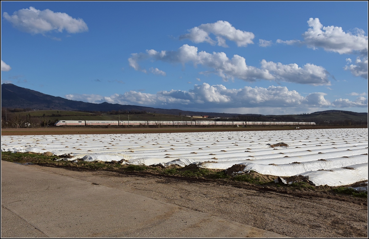 Bahn im Markgräfler Land. Hinter dem Spargelfeld hat man neuerdings einen guten Durchblick, hier auf den ICE-1-Triebzug 177  Rendsburg  (ex  Basel ). Heitersheim, März 2019.