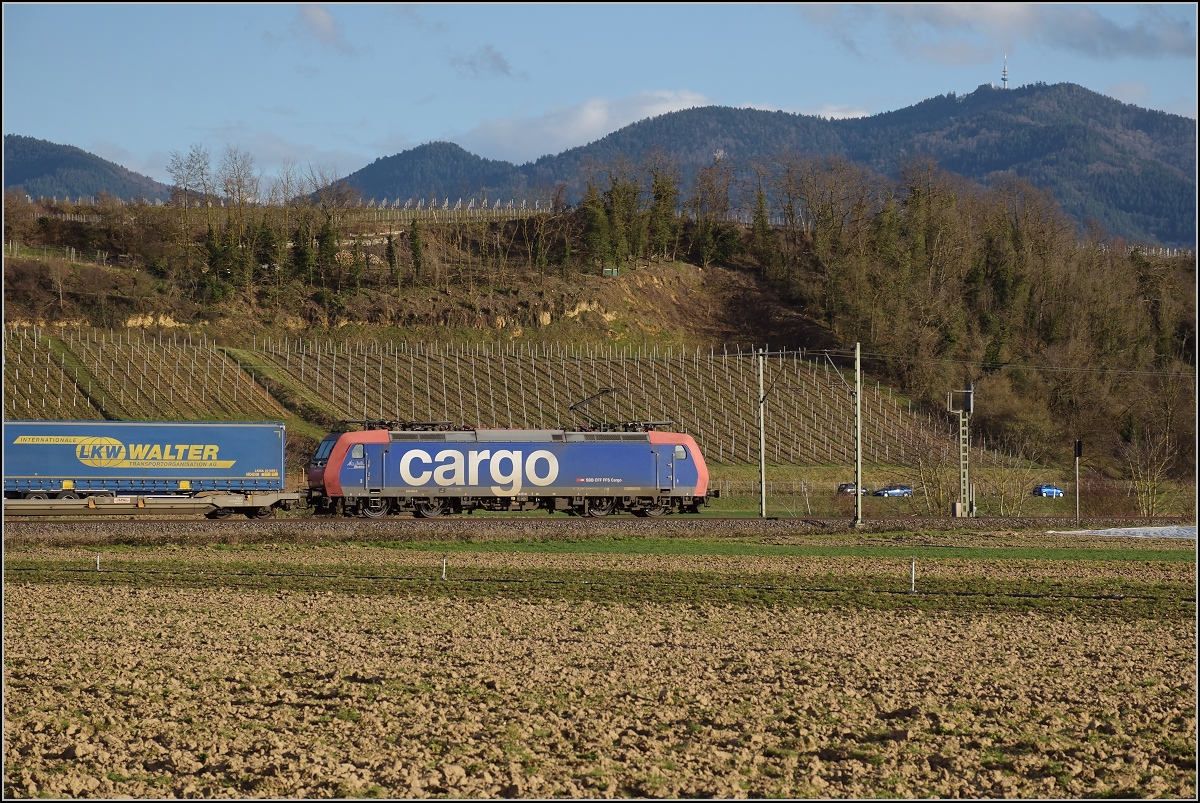 Bahn im Markgräfler Land. Re 482 008-0 mit einem Güterzug bei Hügelheim. März 2019.