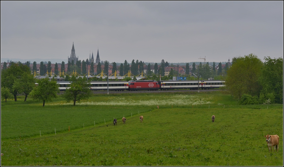 Bahn im Tägermoos - bei Sauwetter. 

Gar nicht einfach zu entscheiden, was man bei diesem Zug zeigen soll... Morgens und abends eine typische Situation: IR mit Verstärkereinheit. Da könnte die DB auch noch was lernen. Im Hintergrund die Konstanzer  Skyline , im Vordergrund zum Beweis: Schweiz. Mai 2014.