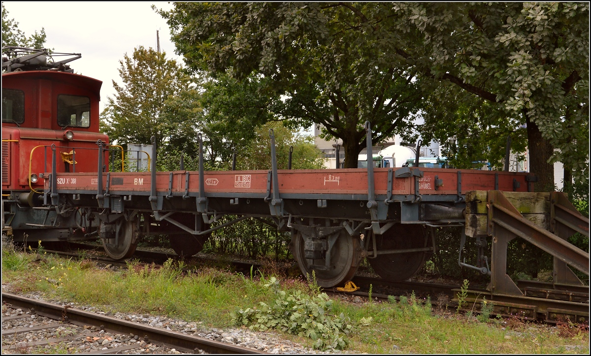 Bahndienst-Materialwagen X2 368. Der Wagen wurde 1910 bei der SIG gebaut und ist 10100 mm lang, wiegt 8,9 t und kann 15 t laden. Mit 105 Jahren in echter Oldie, sein Aufbau wurde 1978 erneuert. 1973 kam er von der Bodensee-Toggenburg-Bahn zur Sihltalbahn. August 2015.