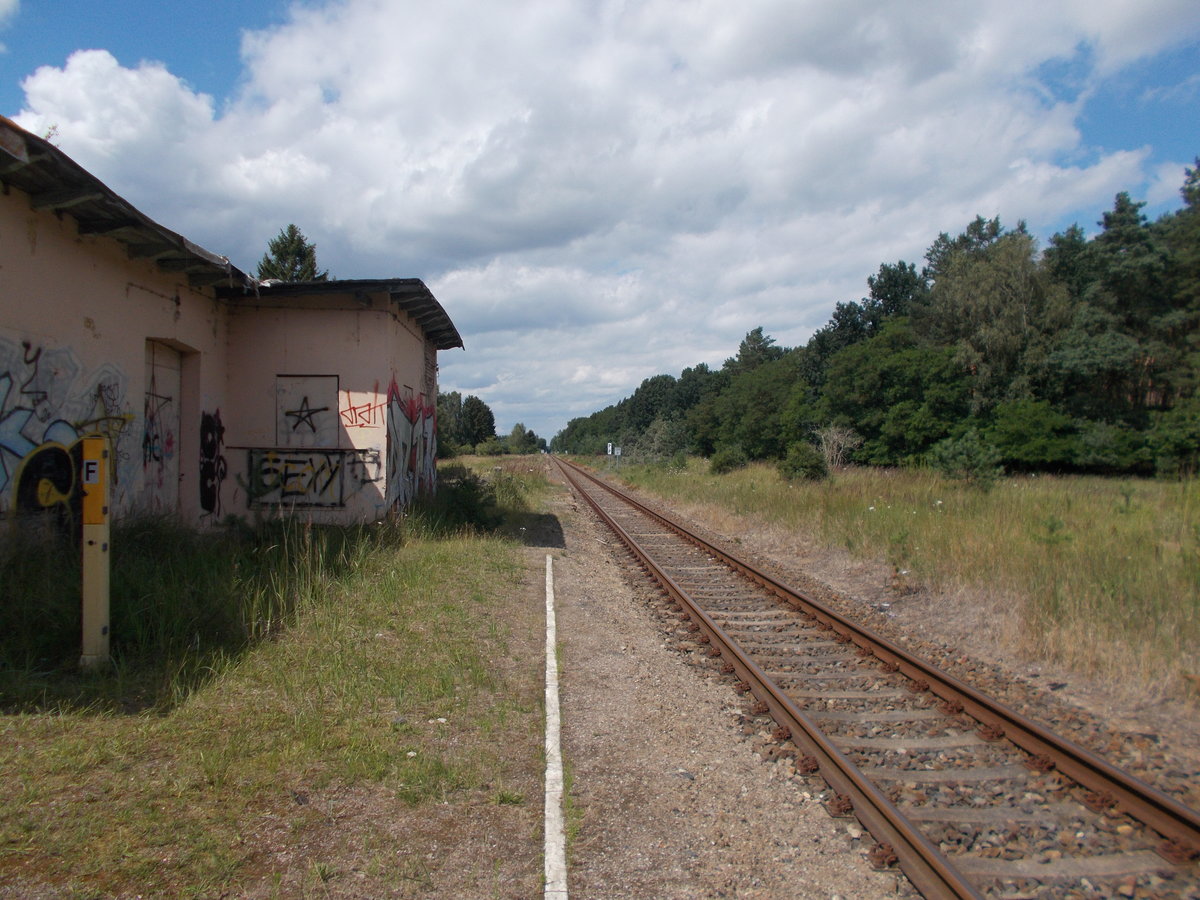 Bahnhof Hoppenwalde Bahnsteig und Streckengleis nach Ueckermünde am 17.Juli 2016.