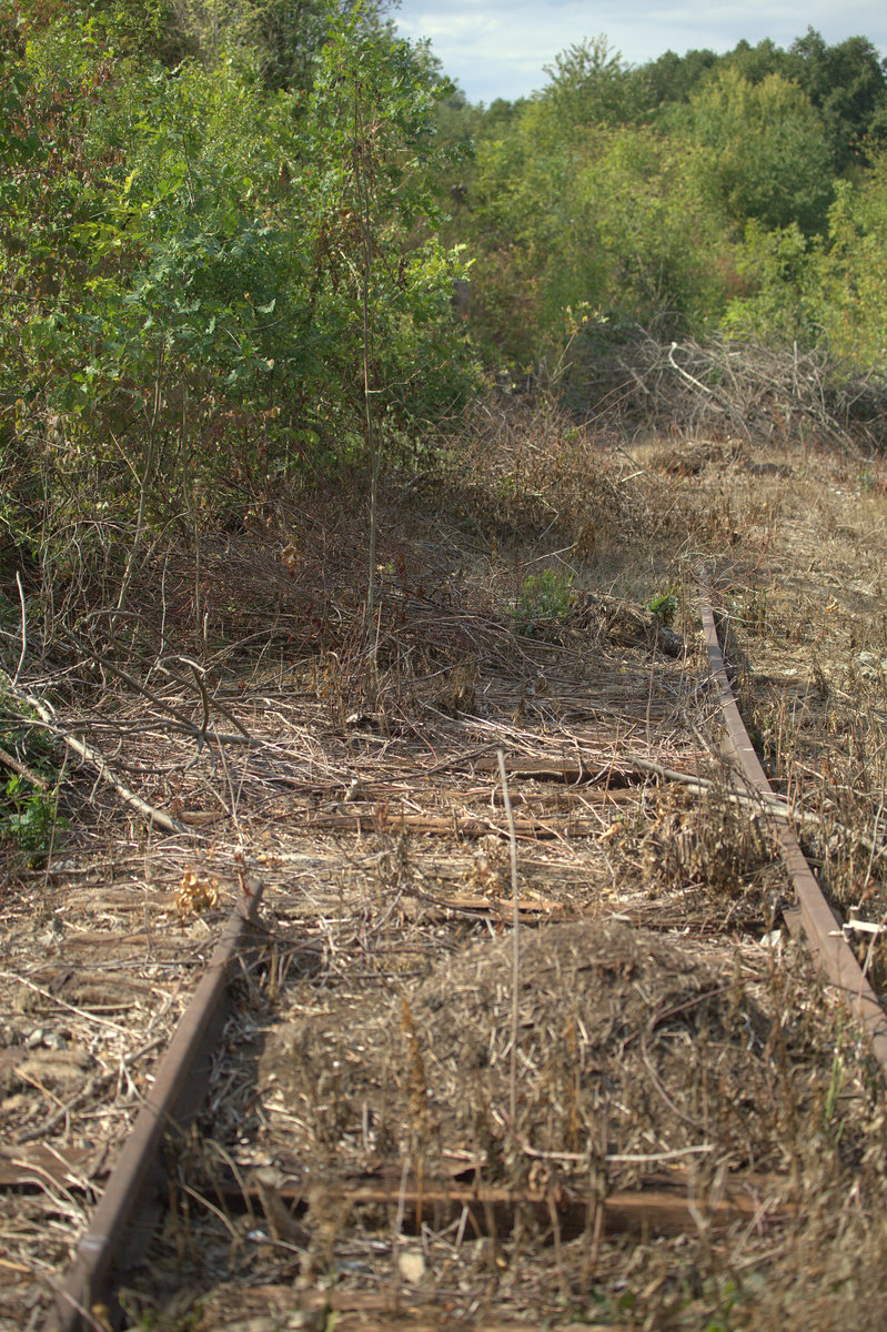 Bahnstrecke Velké Březno–Verneřice/Úštěk, wenn die Gleise noch durchgängig liegen würden , könnte man mit einer Draisine locker nach Zubrnice rollen. Obwohl die Strecke 1985 und 1988 abgebaut wurde, finden sich auch 2018 noch Gleisreste auf dem Planum, annehmbar ist , dass der Abbau durch das einfache Aufrtagen eine Schwarzdecke  auf die Glese verhindert wurde, der Fotgraf steht hier zwar im Gleis, aber es ist  zugeteert . 26.08.2018 15:12 Uhr. Übrigens sind die Gleise genagelt und nicht geschraubt. 