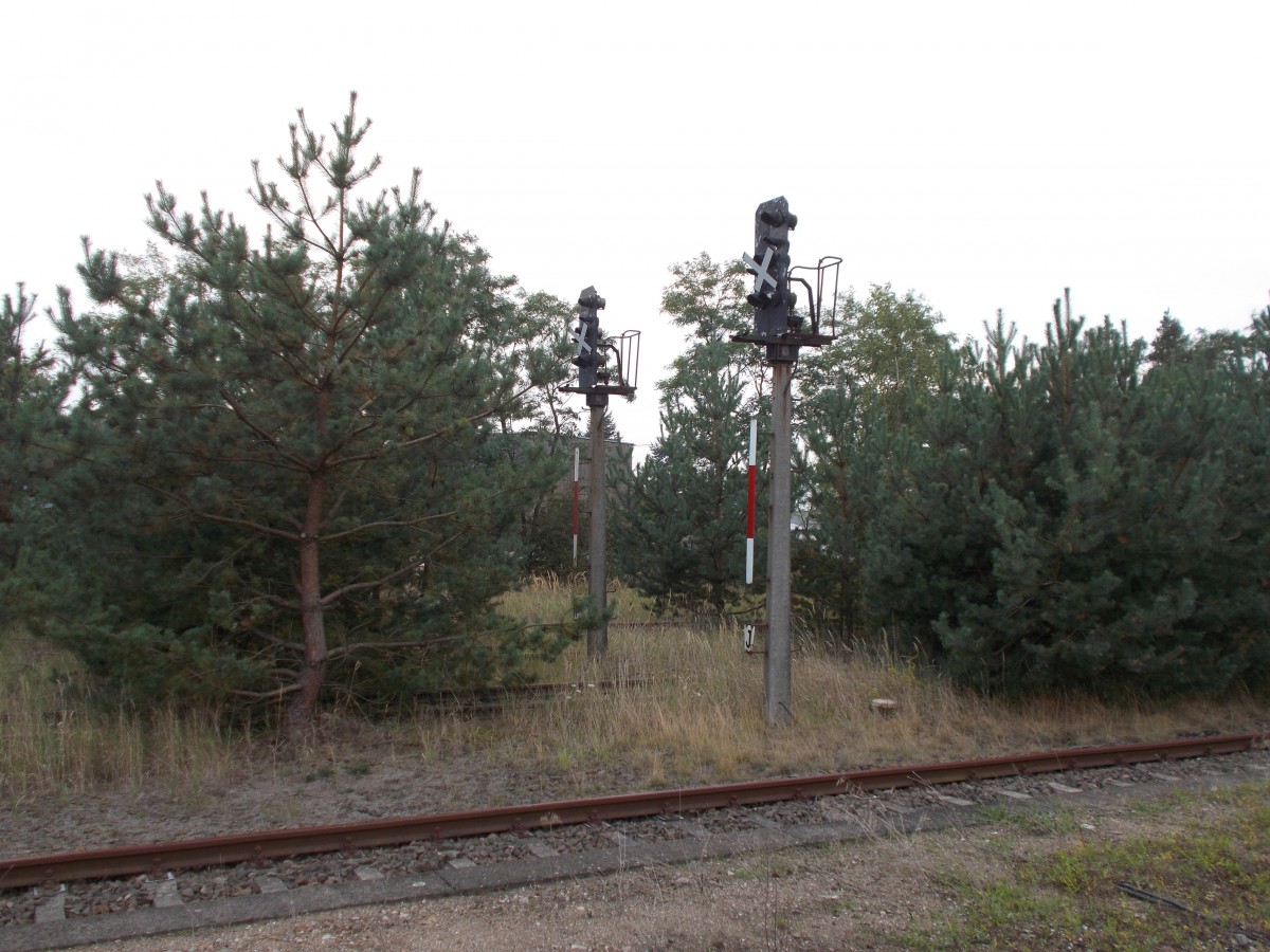 Bald in einem Wald versteckt sind die ehemaligen Ausfahrsignale in Milmersdorf.Aufgenommen am 17.September 2014.