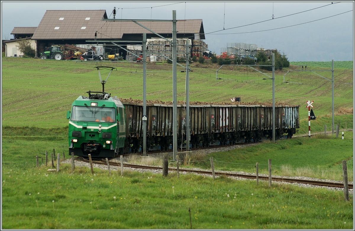 BAM - oder hier kommt die Bahn noch zum Kunden. 
Zuckerrübenkampagne bei Mauraz.
15. Okt. 2014