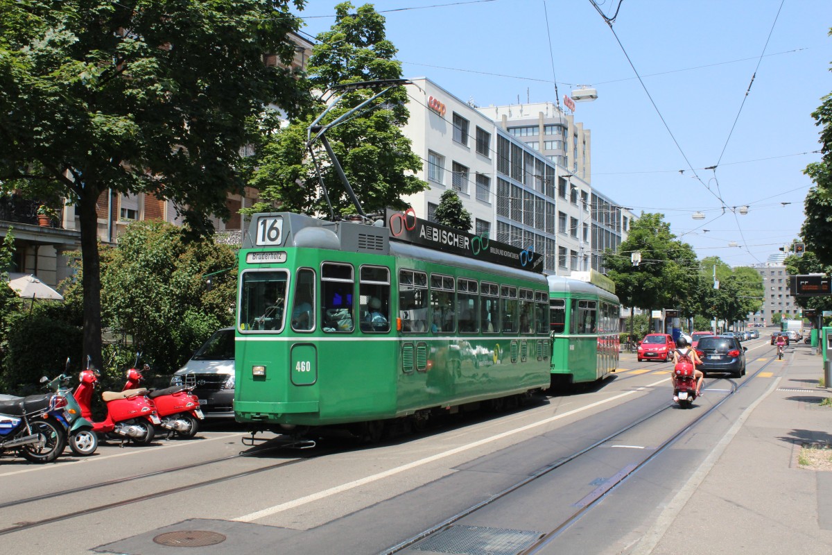 Basel BVB Tram 16 (SWP/BBC Be 4/4 460) Thiersteinerallee am 3. Juli 2015.