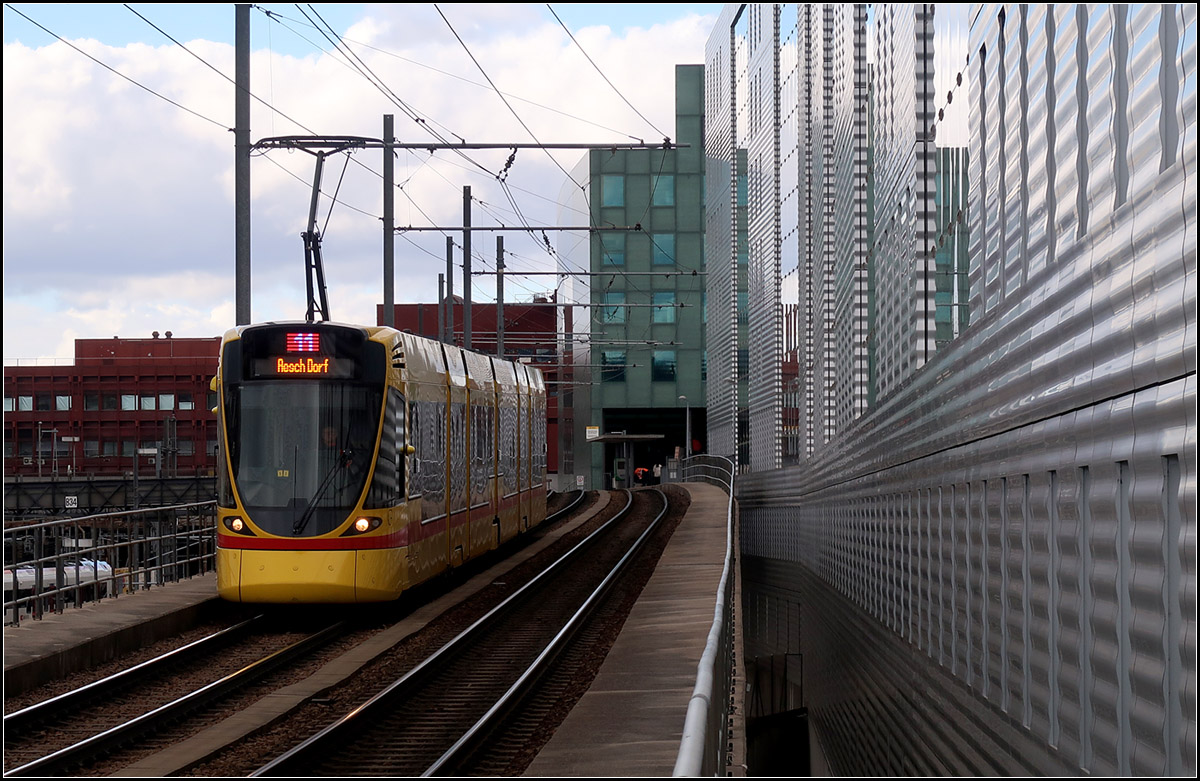 Basels Hochbahnstrecke -

Auf aufgeständerte Trasse fahren die Züge der BLT-Linien 10 und 11 an den Gleisanlagen am Bahnhof Basel SBB entlang.

07.03.2019 (M)