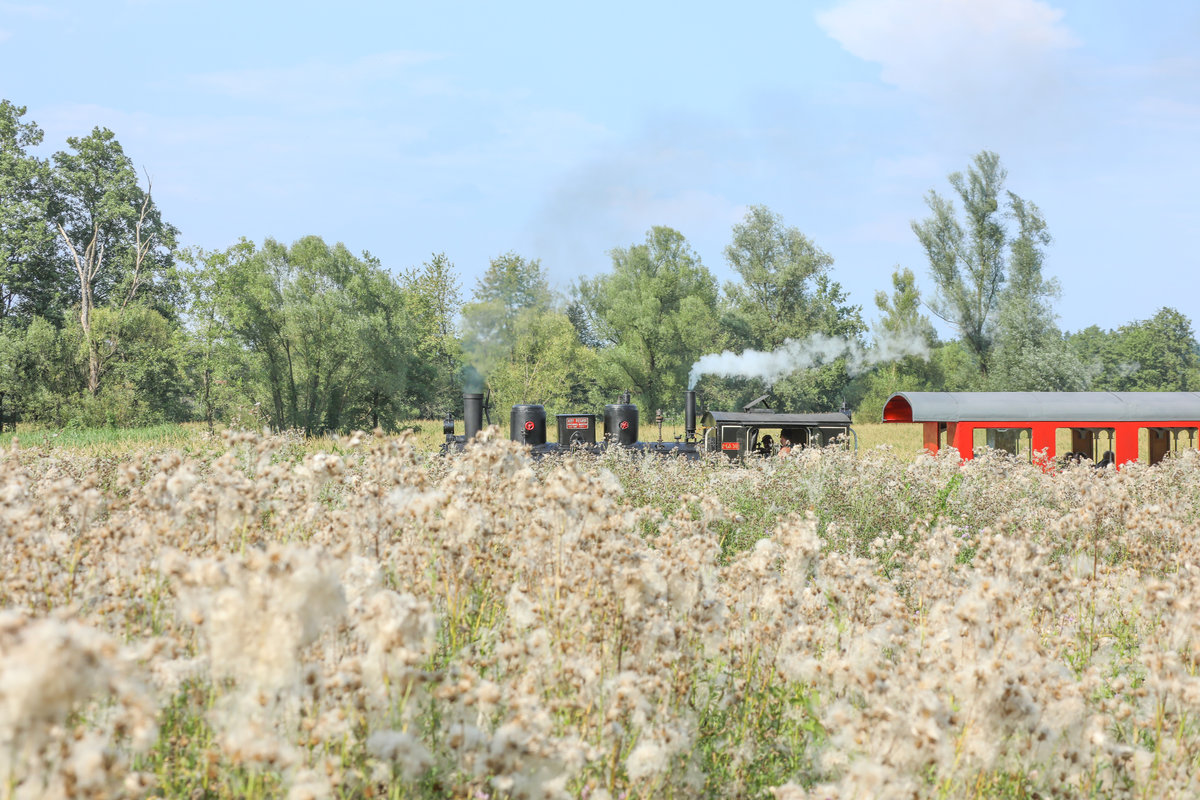 Baumwolle ? 
Wohl kaum aber Nett anzusehen hinter was sich 764.411 R versteckt. 1.August 2018
