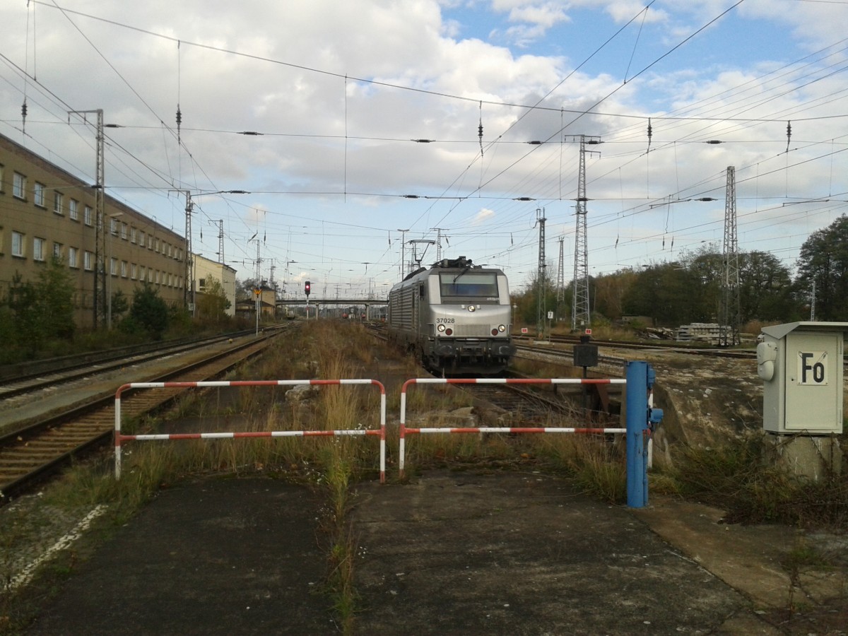BB 37026 steht am 30.10.2013 im unteren Bahnhof von Falkenberg/Elster