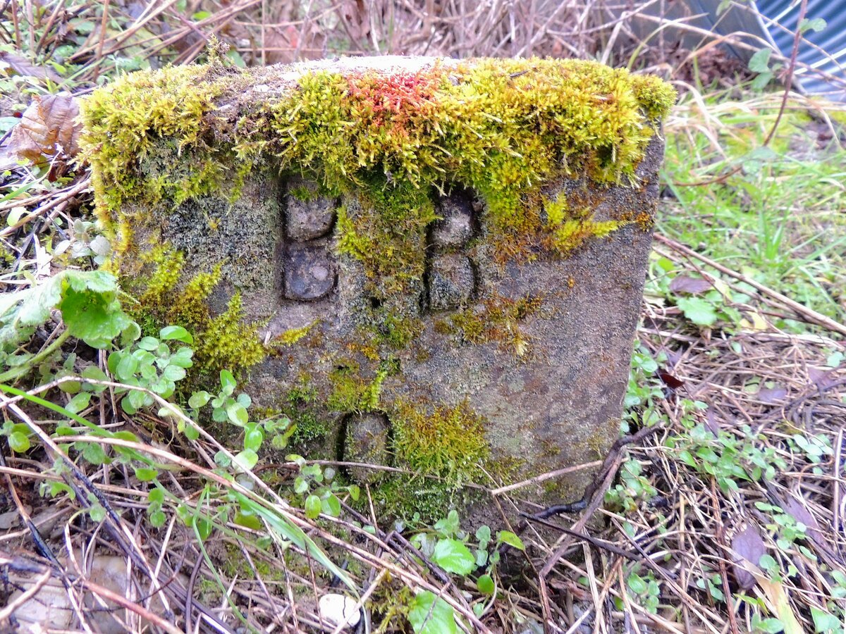 BBÖ-Grenzstein verwachsen und vermoost, kam anlässlich der Bahnviaduktsanierung entlang der Innkreisbahn bei BK20,845 zum Vorschein; 230101