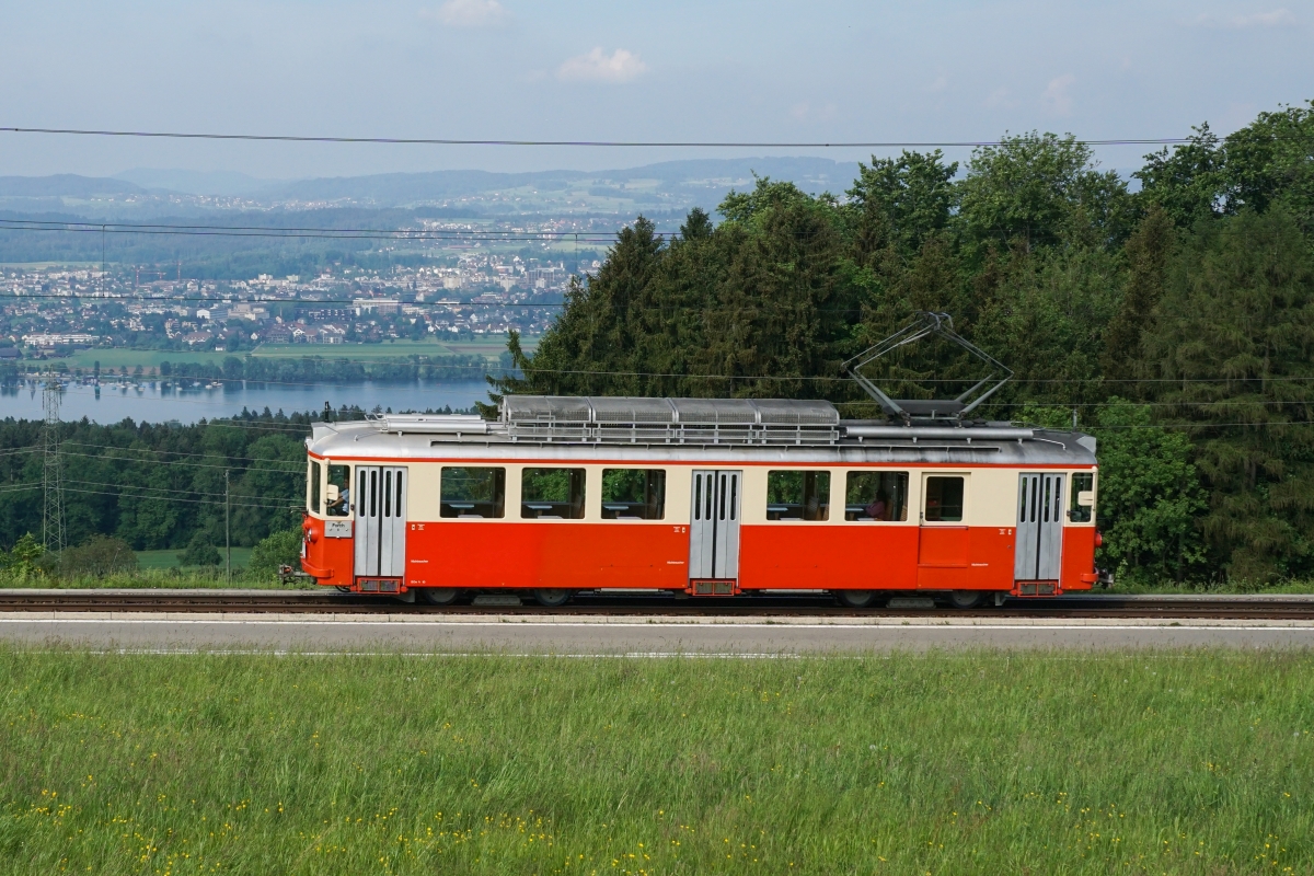 BDe 4/4 10 nähert sich am 16.05.2015 vor der Kulisse des Greifensees Scheuren.