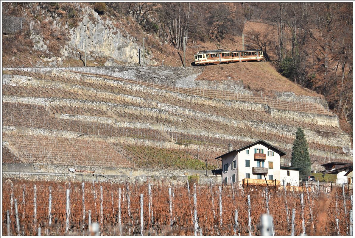 BDeh 4/4 302 + Bt351 in alter AL Farbgebung befindet sich auf Talfahrt in den Rebbergen oberhalb von Aigle. (14.12.2016)