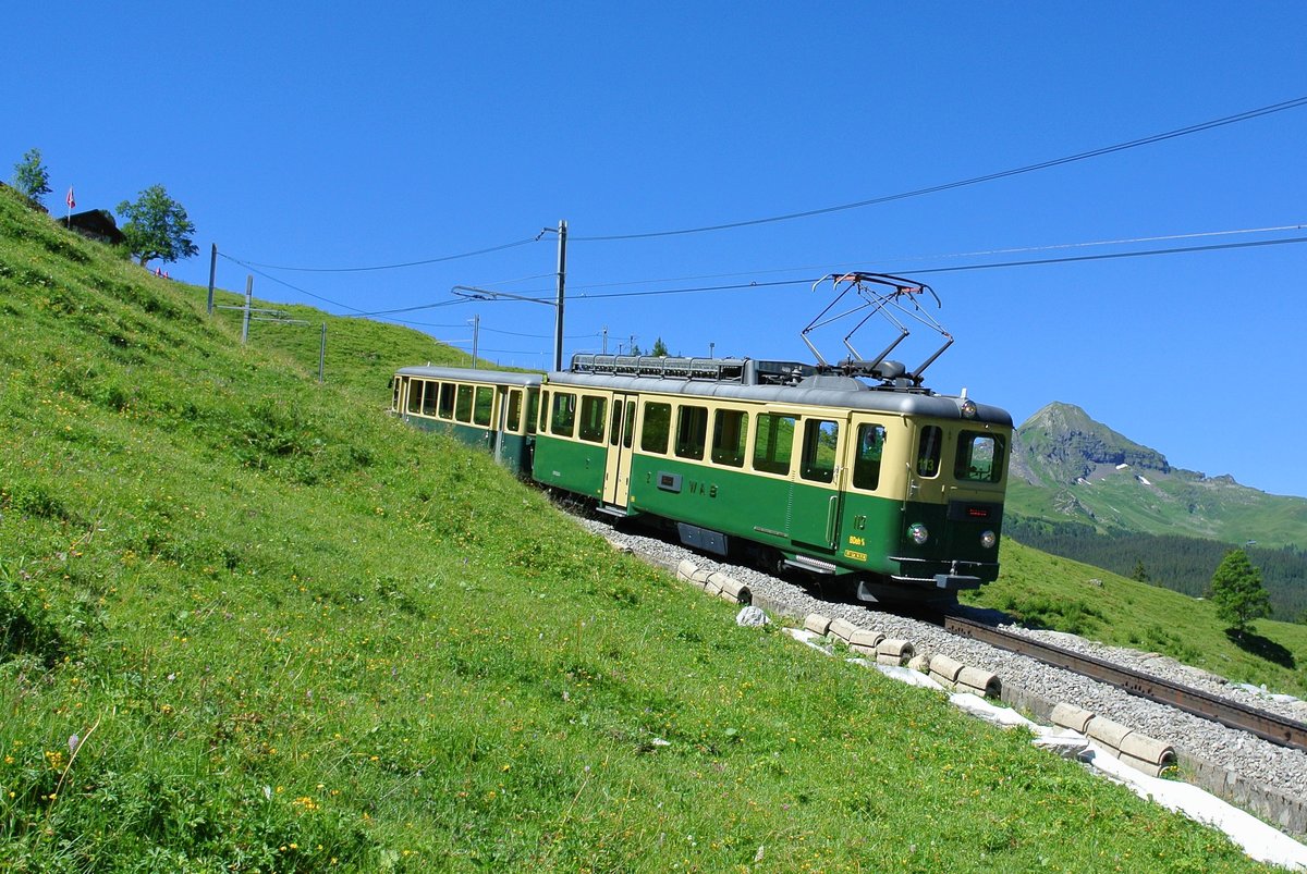 BDeh 4/4 Nr. 113 bei Alpiglen, 19.07.2016. 