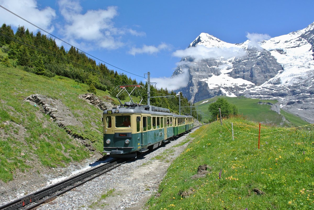 BDeh 4/4 Nr. 116 auf Talfahrt zwischen kleine Scheidegg und Wengernalp, 04.07.2016.